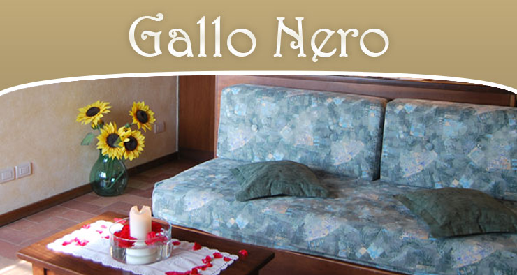 gallo-nero-box